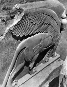 Guarding Prints: Winged and harnessed lioness