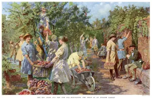 Away Prints: Woman harvesting apples as old man watches 1918