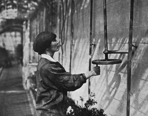 Gardening Prints: Women Gardeners at Windsor, WW1