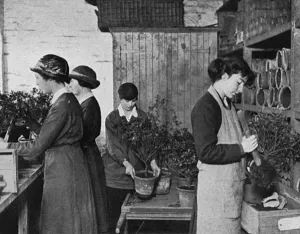 Gardening Prints: Women Gardeners at Windsor, WW1