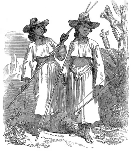 Images Dated 8th July 2004: Women of the Papagos Tribe of Native American Indians, 1858