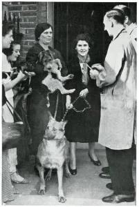 Protection Prints: Women queuing with their dogs for RSPCA advice, Sept 1939