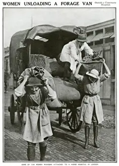 Hospital Prints: Women unloading van outside veterinary hospital 1918