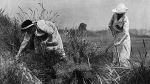 Lodge Prints: Women workers at Sandy Lodge golf course