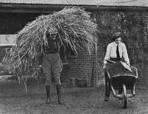 Cleaning Prints: Women working at Army Remount Depot, WW1