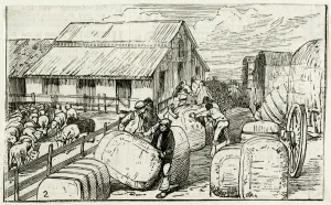 Argentina Prints: WOOL BALES IN ARGENTINA