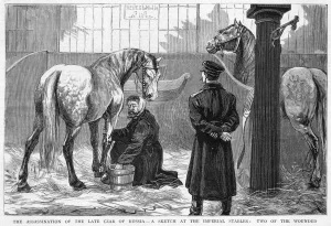Wounded Prints: Wounded Horses
