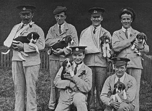 Hospitals Prints: Wounded soldiers at Cheshire Hunt puppy show, WW1