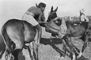 Salonika Prints: Wrestling on horseback, Indian troops at Salonika, WW1
