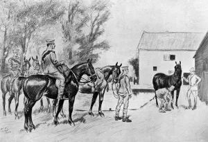 Buying Prints: WW1 - buying horses for the Suffolk Territorial R. F. A
