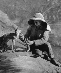 Pets Prints: WW1 mascots: a gazelle in Mesopotamia