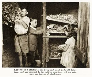 Drying Prints: WW2 - Home Front - children from the Buckingham Gate Central School