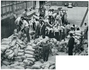 Hospital Prints: WWII Jewish refugees helping with sandbags