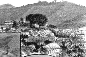 Richmond Prints: The Wynaad Goldfield, Southern India. Views of the Richmond
