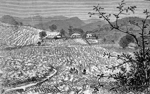 Richmond Prints: The Wynaad Goldfields, Southern India. View of the Richmond