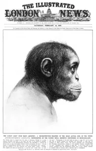 Human Prints: Young Australopithecus africanus