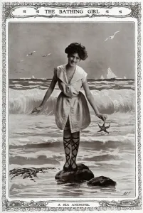 Suits Prints: Zena Dare