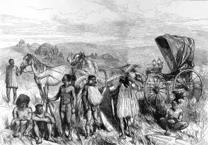 July Prints: Zululand. The King of Zululands carriage